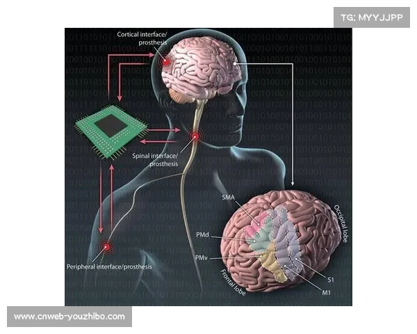 脑机接口技术探索沉浸控制，革新交互方式